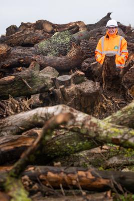 La Collette. Infrastructure & Environment department Solid Waste facility. Frankie Mabbott, operations manager, with piles of trees felled during Storm Ciaran                             Picture: ROB CURRIE