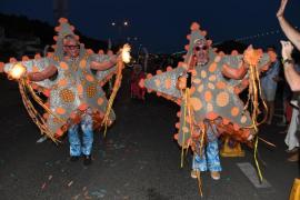 St Ouen and St Mary starfish Battle of Flowers 2024 BOF 2024 Night Parade Picture: DAVID FERGUSON