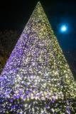 Christmas Lights Switch On and Parade. Christmas tree in Parade Gardens with a near full moon                         Picture: ROB CURRIE