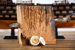 Mike Hill, CEO of Paul Fraser Collectibles (CORRECT SPELLING OF COLLECTIBLES). A scale model of HMS Victory in the background and in foreground a piece of wood and a a nail from the actual ship together with a lock of hair belonging to Admiral Lord Nelson               Picture: ROB CURRIE