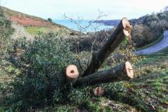 Storm Bert damage to Bouley Bay Picture: DAVID FERGUSON