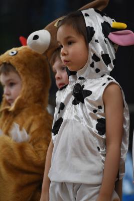 Chicken and the cows les Landes School Nativity Picture: DAVID FERGUSON