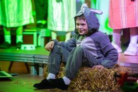 FCJ school KS1 nativity play called Baubles. NO NAMES. The donkey                               Picture: ROB CURRIE