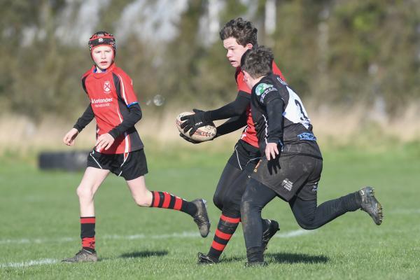 Harry Glynn on the charge UNDER 13 Rugby Jersey RFC v Sussex Picture: DAVID FERGUSON