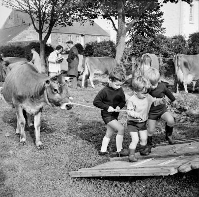 Temps Passe Young Farmers 1969