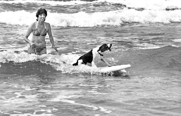 Temps Passe Surf Hound 1980
