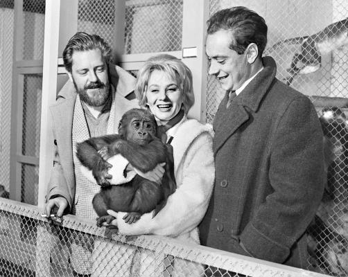 Temps Passe The Actress and the Gorilla 1959